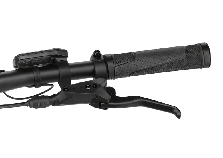 Rower elektryczny BESV TRX 1.5 LS - obrazek 10